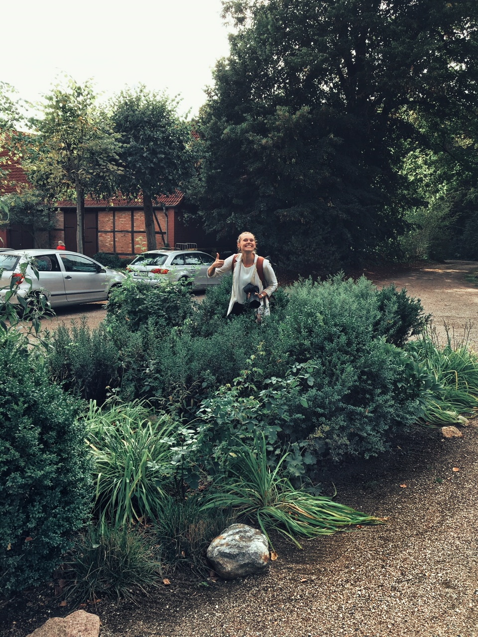 Snapseed • clickwithlove